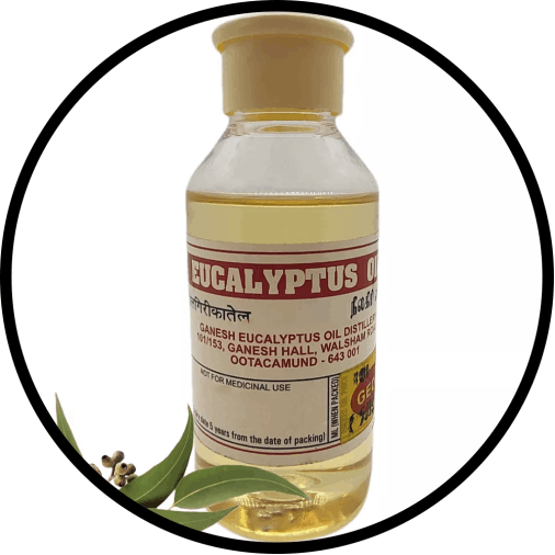 Eucalyptus Oil