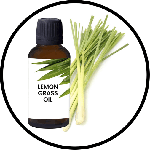 Lemongrass Oil